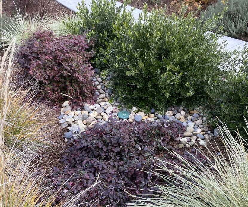 2023 LID Training Flyer Final Final Final_ (002)