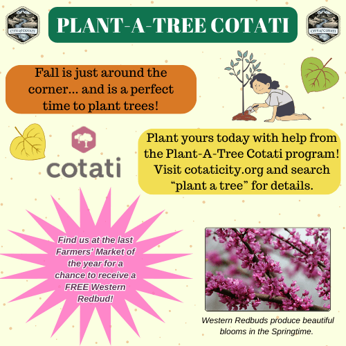 Plant-A-Tree Sept. 25th