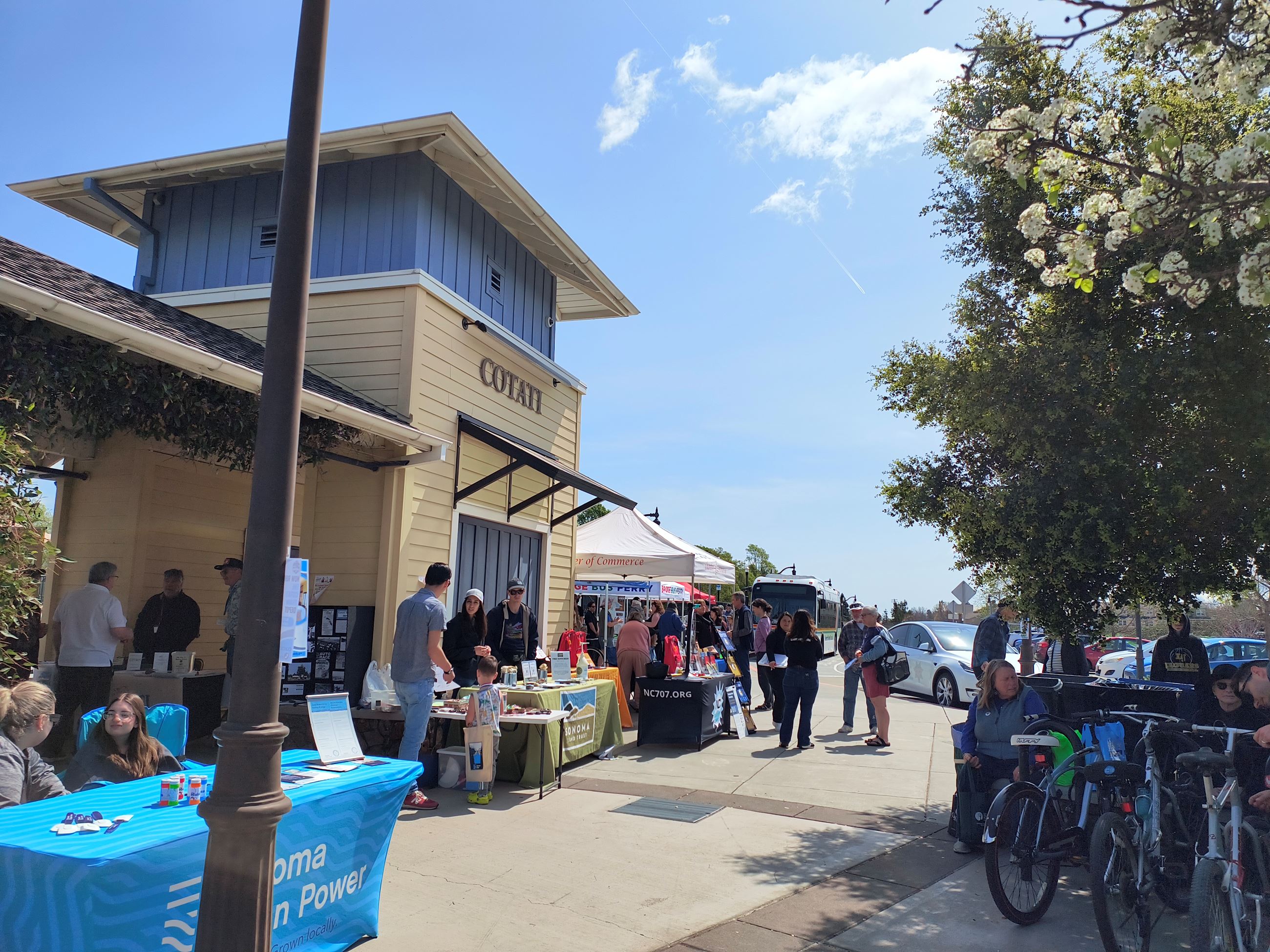 IMG_20250329_125420938